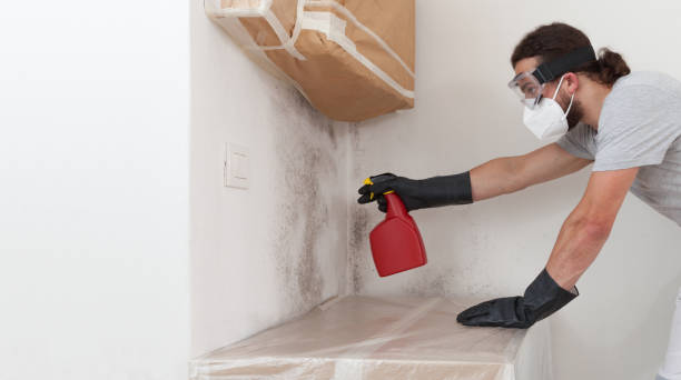 Professional Mold Testing technician working in Alden, MI